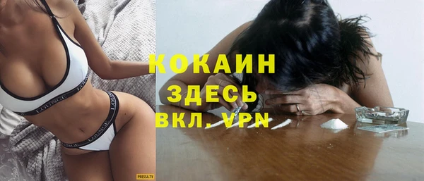 ГАЛЛЮЦИНОГЕННЫЕ ГРИБЫ Богданович