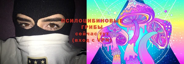 ГАЛЛЮЦИНОГЕННЫЕ ГРИБЫ Богданович