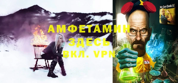 ГАЛЛЮЦИНОГЕННЫЕ ГРИБЫ Богданович