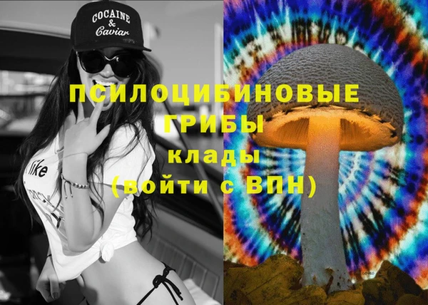 ГАЛЛЮЦИНОГЕННЫЕ ГРИБЫ Богданович