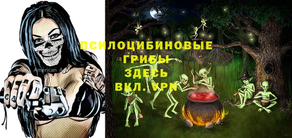 ГАЛЛЮЦИНОГЕННЫЕ ГРИБЫ Богданович
