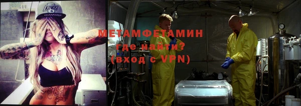 ГАЛЛЮЦИНОГЕННЫЕ ГРИБЫ Богданович